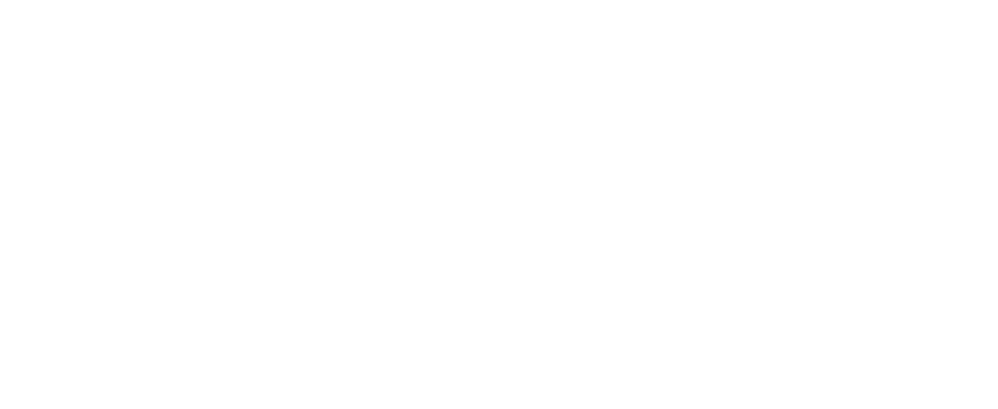 Seguridad y ciudadanía
